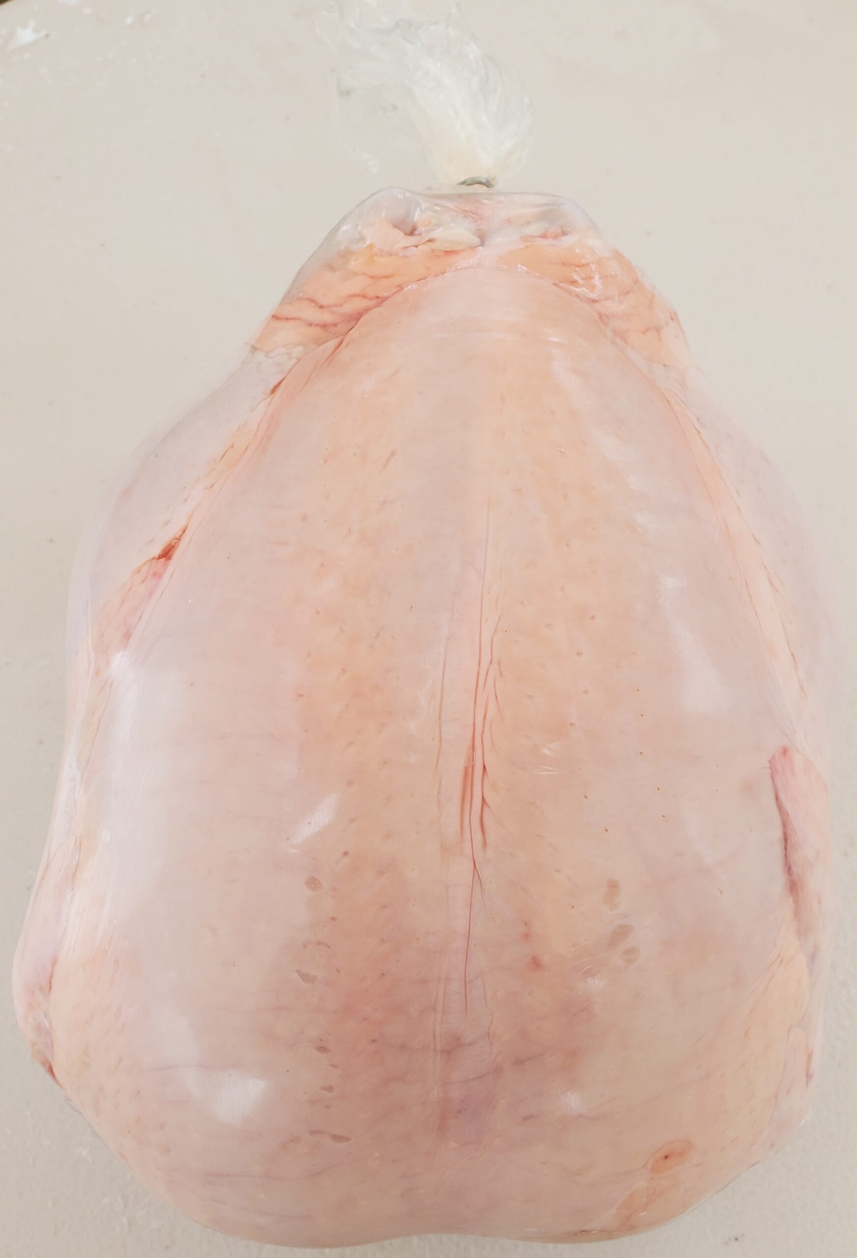 bag bird picture bag bird picture
